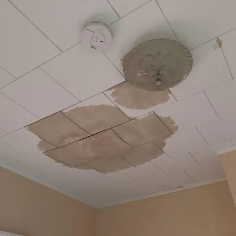 Ceiling Water Damage Repair in Laurel, NY